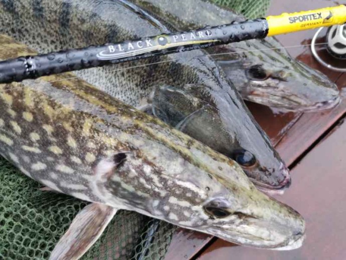 Štap Sportex Black Pearl GT-3 2-dijelni Baitcast