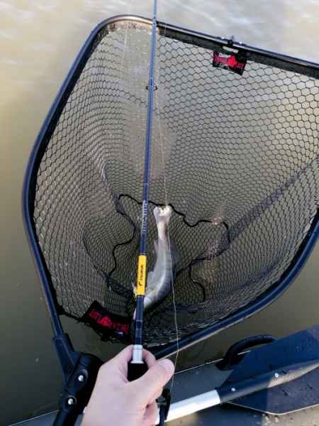 Štap Sportex Black Pearl GT-3 2-dijelni Baitcast