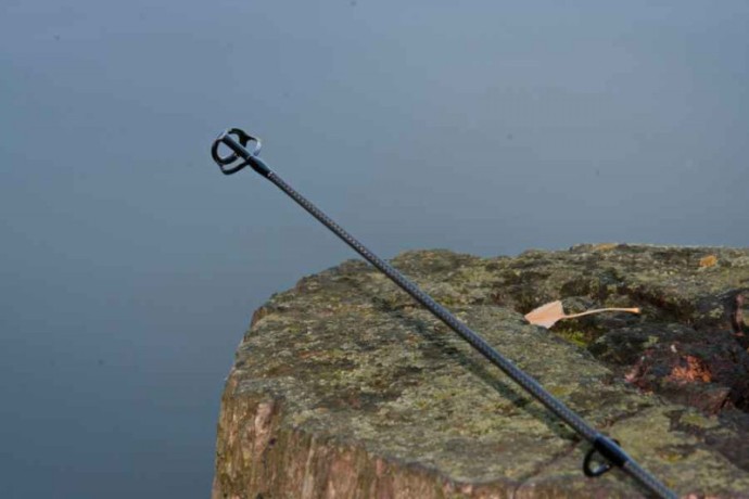 Štap Sportex FBC CS-3 Carp 2-dijela