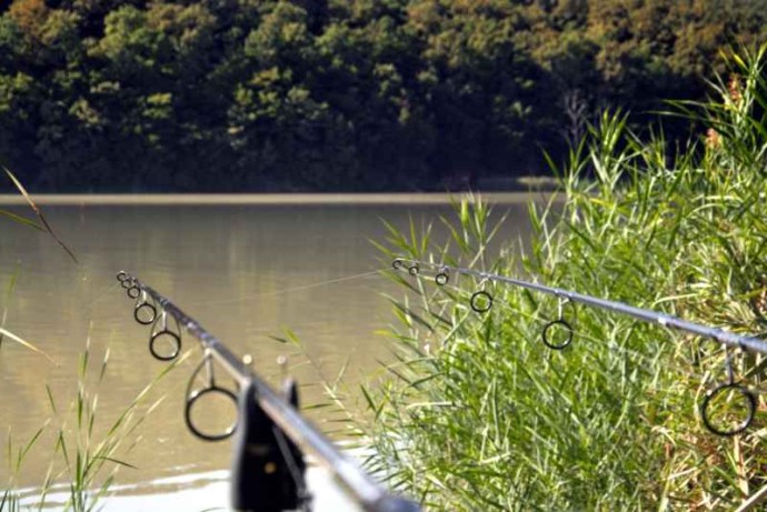 Štap Sportex Revolt Carp 2-dijela
