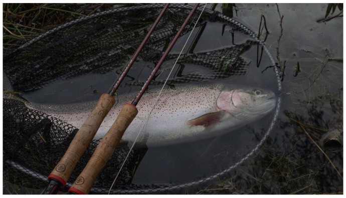 Štap Wychwood Truefly FA Fly Rod 9,6ft #7