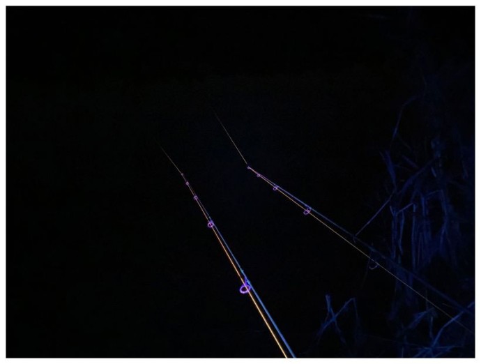 Svjetiljka Anaconda Vipex UV-blackflash 68