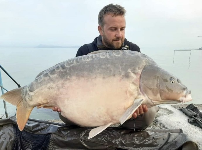 Tekuća hrana Black Carp Játra 1l