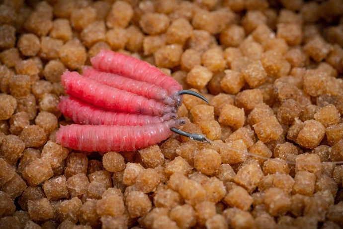 Udica Guru Super Pellet Waggler Hook (Barbless/Eyed)