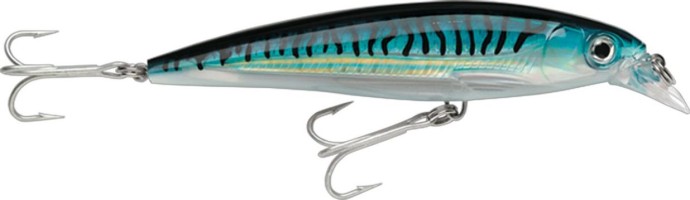 Wobler Rapala X-Rap Saltwater 12cm 22gr