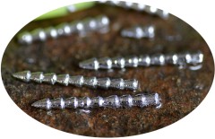 10ks - Dovažovací Trn Redbass Velikost 5,5gr 10ks - Dovažovací Trn Redbass Velikost 5,5gr