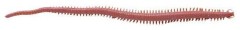 10ks - Imitácia Červa Berkley Gulp! Sandworm 15 cm Saltwater Dark Brown