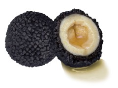 10ks Pelety LK Baits Nutrigo Pellets Black Halibut 250ml 24mm