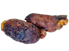 2kom Goveđa Jaja LK Baits Pas 100g