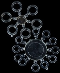 34ks - Kružnici Garda Elastične za Pelete Prozirni Mix 34ks - Kružnici Garda Elastične za Pelete Prozirni Mix