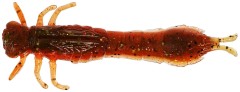 4ks - Gumena Mamac Westin Odonata Ned Creaturebait 6,5cm 2g