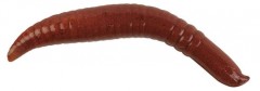 6ks - Červi Berkley Gulp Floating Pinched Nightcrawler 5cm 6ks - Červi Berkley Gulp Floating Pinched Nightcrawler 5cm