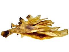 7-8ks Sušené Králičí Uši LK Baits Pet 70g