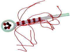 Bavlnková zarážka JSA Fish vel. S