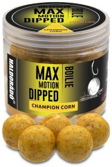 Boilie v Dipu Haldorádó Max Motion 20mm 80gr Boilie v Dipu Haldorádó Max Motion 20mm 80gr