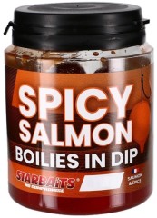 Boilie v Dipu Starbaits Concept Spicy Salmon 150gr Boilie v Dipu Starbaits Concept Spicy Salmon 150gr