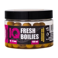 Boilies LK Baits IQ Method Feeder Boilies Fresh 10-12mm 150ml Mađarski Med Boilies LK Baits IQ Method Feeder Boilies Fresh 10-12mm 150ml Mađarski Med