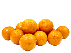 Boilies LK Baits Original Scopex Florentine Rod Hutchinson 20mm 1kg Boilies LK Baits Original Scopex Florentine Rod Hutchinson 20mm 1kg