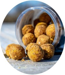 Boosterirani Boilies KWO Boosted Hookbaits Scopex Special