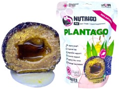 Dodatak prehrani za pse LK Baits Pet Nutrigo Dog Supplement Plantago Sirup