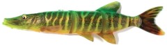 Gumena Mamac Savage Gear 4D Line Thru Pike 48cm 750gr Fire Tiger