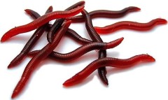 Imitace Žížaly Behr Trendex 4cm 15ks