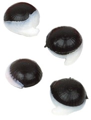 Imitácia Konope Enterprise Potápavá 10ks Imitácia Konope Enterprise Potápavá 10ks