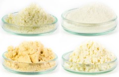 Mléčné Proteiny Mikbaits 250gr Mléčné Proteiny Mikbaits 250gr