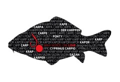 Nálepka Delphin Série Words Kapr