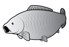 Nálepka Delphin Silver Kapor Nálepka Delphin Silver Kapor