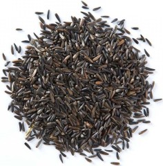 Partikel Mikbaits Niger Partikel Mikbaits Niger