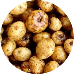 Partikel Mivardi Tigrie Orech