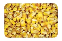 Partikel Nikl Kukurica Partikel Nikl Kukurica