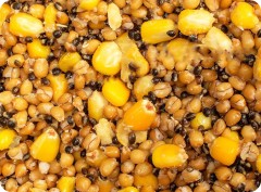 Partikel Sportcarp Ready Particle 1,5l