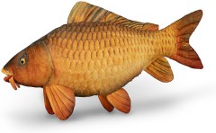 Plišani Šaran Delphin Carpy 60cm Plišani Šaran Delphin Carpy 60cm