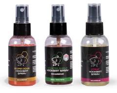 Postrekovač Nash Hookbait Spray 2024 50ml Postrekovač Nash Hookbait Spray 2024 50ml