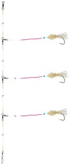 Predvez DAIWA Grand Wave Super-Strong