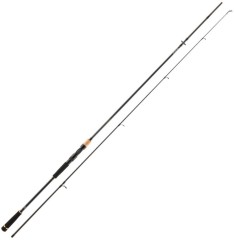 Prut Daiwa Legalis Allround