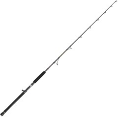 Prut Penn Regiment III Jig Casting Rod Prut Penn Regiment III Jig Casting Rod