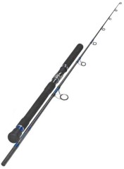 Prut Sportex Mastergrade Seacast 2díl