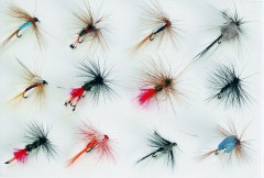 Sada Mušek JSA Fish Fly 12ks