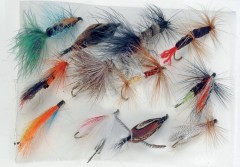 Sada Streamrov JSA Fish Stream 12ks