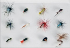 Set nimfi JSA Fish Gold 12 komada