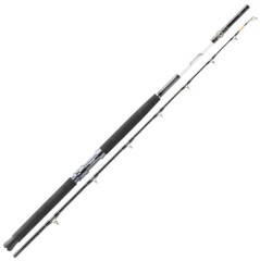 Štap Daiwa Tanacom 2,10m 400-1000gr