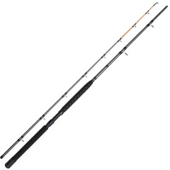 Štap DAM Salmonizer Planner 2,40m 20-35lb