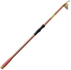 Štap Delphin Queen Tele 3,00m 100gr