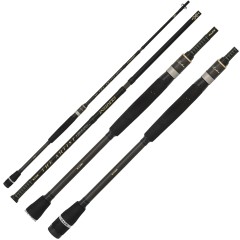 Štap Illex The Artist X5 S H Insiders 2,20m 10-50gr (1/4+3/4)