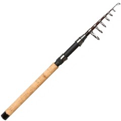 Štap Mikado Desire Mini Telespin 2,70m 15-45gr