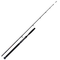 Štap Shimano Beastmaster AX Som Spinning