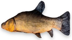 Vankúš BeCare Lín Všeobecný 48cm